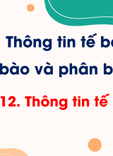 Bài 12. Thông tin tế bào